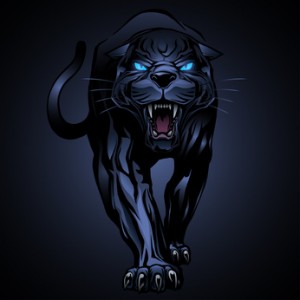 Black panther illustration